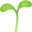 🌱