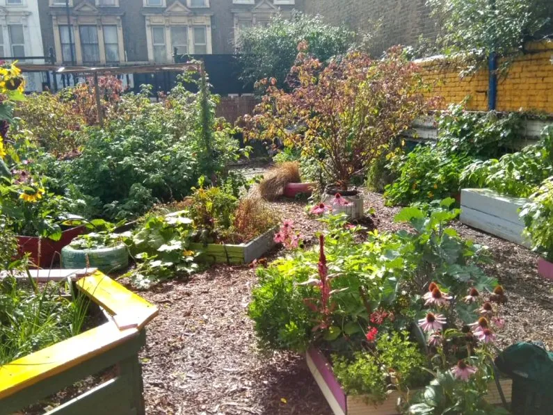 Extinction Rebellion Garden Hackney - Garden of Earthly Delights