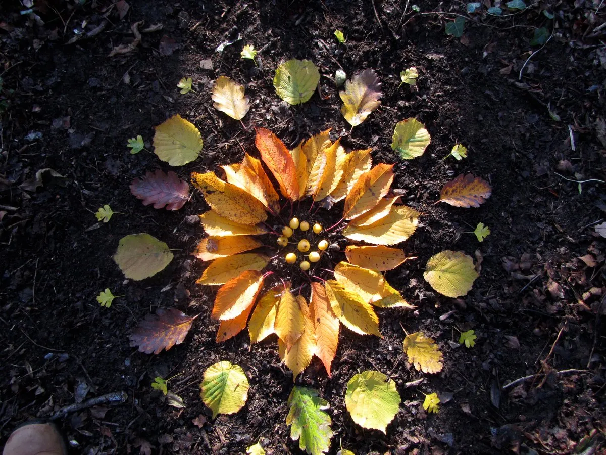 Brigit Strawbridge on Twitter: "Autumn is a such a lovely time to get outside and make Nature Mandalas. Gathering the leaves, fruits, nuts & other finds is fun in itself, but the